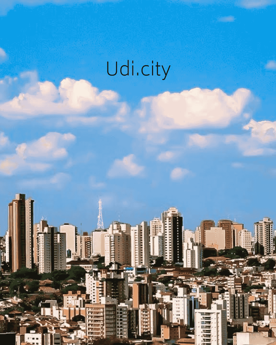 IMAGENS-PADRAO-DE-MINI-SITE-23 Udi City - Sua parceira de verdade!